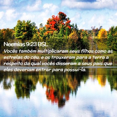 Picture 02 - Neemias 9:23 BSL - Vocês também multiplicaram seus filhos como as - Bible Verse Picture