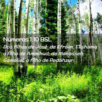 Picture 02 - Números 1:10 BSL - Dos filhos de José: de Efraim: Elishama o filho - Bible Verse Picture