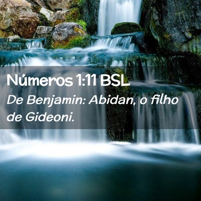 Picture 02 - Números 1:11 BSL - De Benjamin: Abidan, o filho de - Bible Verse Picture