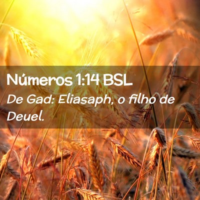 Picture 02 - Números 1:14 BSL - De Gad: Eliasaph, o filho de - Bible Verse Picture