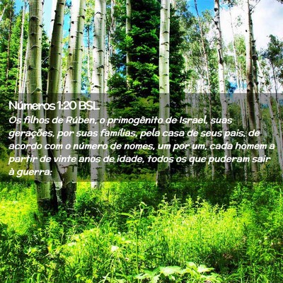 Picture 02 - Números 1:20 BSL - Os filhos de Rúben, o primogênito de Israel, - Bible Verse Picture