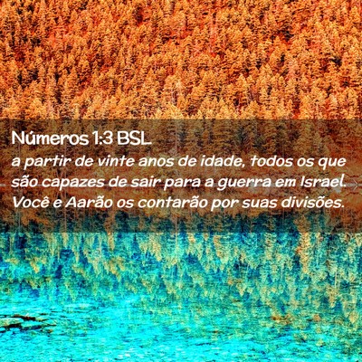 Picture 02 - Números 1:3 BSL - a partir de vinte anos de idade, todos os que - Bible Verse Picture