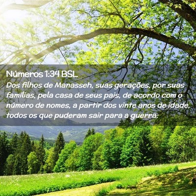 Picture 02 - Números 1:34 BSL - Dos filhos de Manasseh, suas gerações, por suas - Bible Verse Picture
