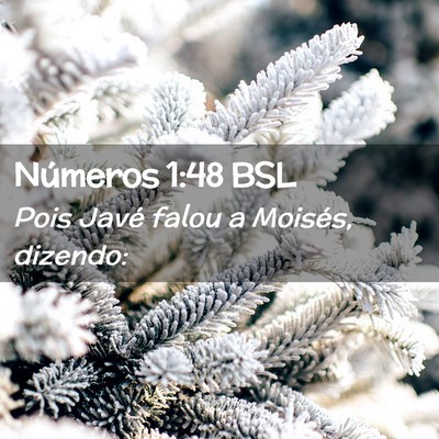 Picture 02 - Números 1:48 BSL - Pois Javé falou a Moisés, - Bible Verse Picture