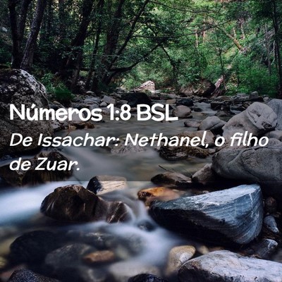 Picture 02 - Números 1:8 BSL - De Issachar: Nethanel, o filho de - Bible Verse Picture
