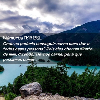Picture 02 - Números 11:13 BSL - Onde eu poderia conseguir carne para dar a todas - Bible Verse Picture