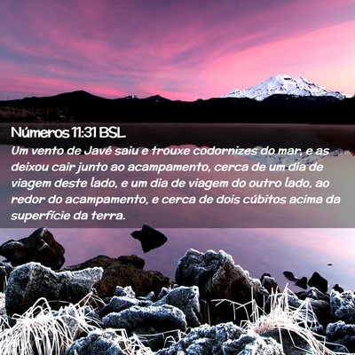 Picture 02 - Números 11:31 BSL - Um vento de Javé saiu e trouxe codornizes do - Bible Verse Picture