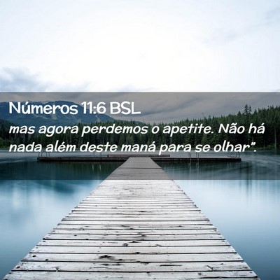 Picture 02 - Números 11:6 BSL - mas agora perdemos o apetite. Não há nada além - Bible Verse Picture