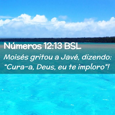 Picture 02 - Números 12:13 BSL - Moisés gritou a Javé, dizendo: “Cura-a, Deus, - Bible Verse Picture