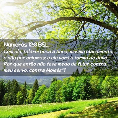 Picture 02 - Números 12:8 BSL - Com ele, falarei boca a boca, mesmo claramente, e - Bible Verse Picture