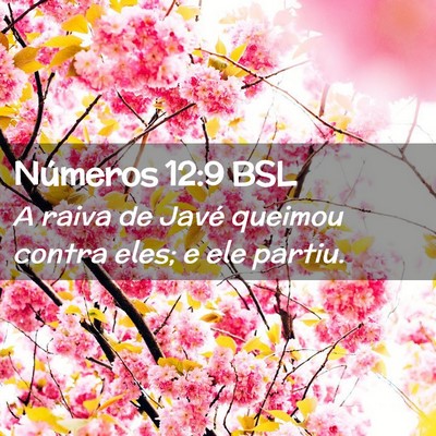 Picture 02 - Números 12:9 BSL - A raiva de Javé queimou contra eles; e ele - Bible Verse Picture