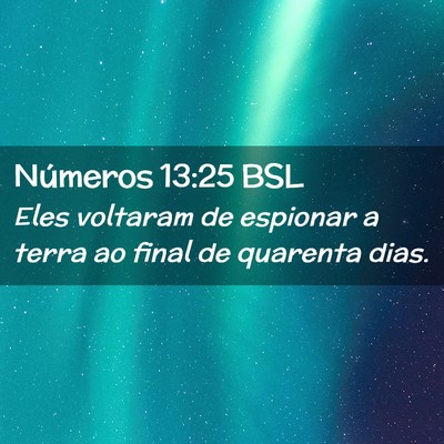 Picture 02 - Números 13:25 BSL - Eles voltaram de espionar a terra ao final de - Bible Verse Picture