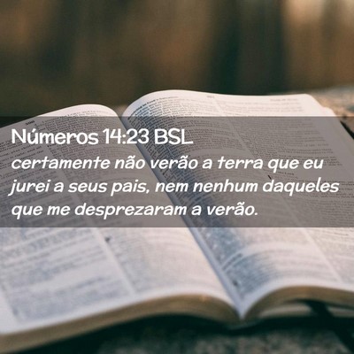 Picture 02 - Números 14:23 BSL - certamente não verão a terra que eu jurei a - Bible Verse Picture