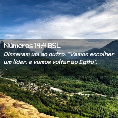 Picture 02 - Números 14:4 BSL - Disseram um ao outro: “Vamos escolher um - Bible Verse Picture