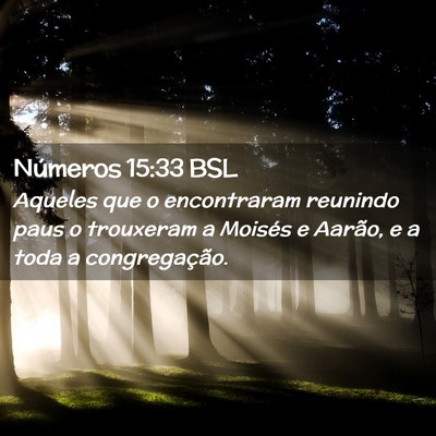 Picture 02 - Números 15:33 BSL - Aqueles que o encontraram reunindo paus o - Bible Verse Picture