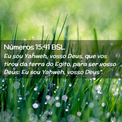 Picture 02 - Números 15:41 BSL - Eu sou Yahweh, vosso Deus, que vos tirou da terra - Bible Verse Picture