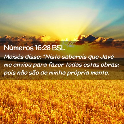Picture 02 - Números 16:28 BSL - Moisés disse: “Nisto sabereis que Javé me - Bible Verse Picture