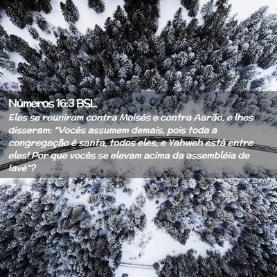 Picture 02 - Números 16:3 BSL - Eles se reuniram contra Moisés e contra Aarão, - Bible Verse Picture