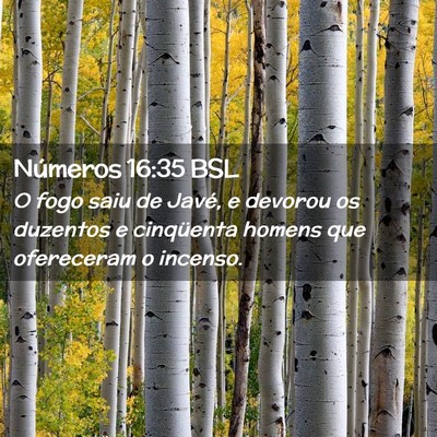 Picture 02 - Números 16:35 BSL - O fogo saiu de Javé, e devorou os duzentos e - Bible Verse Picture