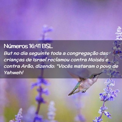 Picture 02 - Números 16:41 BSL - But no dia seguinte toda a congregação das - Bible Verse Picture