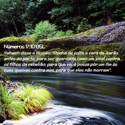Picture 02 - Números 17:10 BSL - Yahweh disse a Moisés: “Ponha de volta a vara - Bible Verse Picture