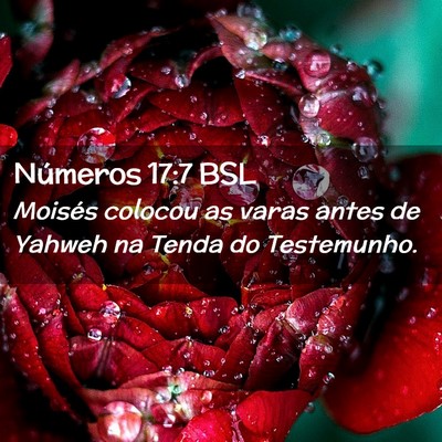Picture 02 - Números 17:7 BSL - Moisés colocou as varas antes de Yahweh na Tenda - Bible Verse Picture
