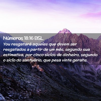 Picture 02 - Números 18:16 BSL - You resgatará aqueles que devem ser resgatados a - Bible Verse Picture