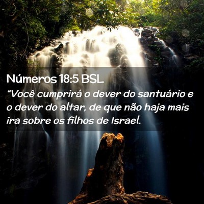 Picture 02 - Números 18:5 BSL - “Você cumprirá o dever do santuário e o - Bible Verse Picture