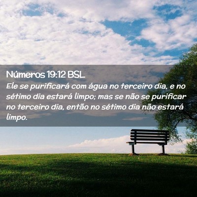 Picture 02 - Números 19:12 BSL - Ele se purificará com água no terceiro dia, e - Bible Verse Picture
