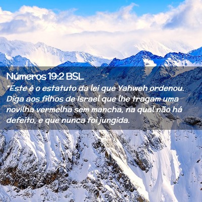Picture 02 - Números 19:2 BSL - “Este é o estatuto da lei que Yahweh ordenou. - Bible Verse Picture