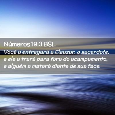 Picture 02 - Números 19:3 BSL - Você a entregará a Eleazar, o sacerdote, e ele - Bible Verse Picture