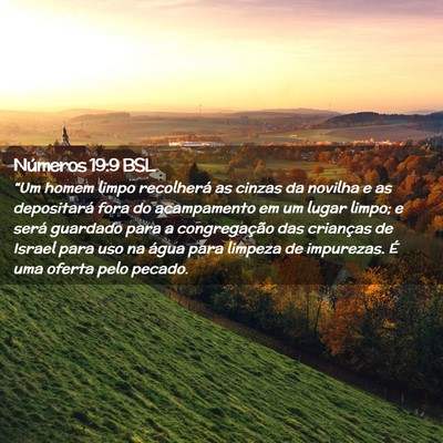 Picture 02 - Números 19:9 BSL - “Um homem limpo recolherá as cinzas da novilha - Bible Verse Picture
