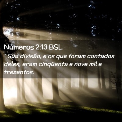 Picture 02 - Números 2:13 BSL - “ Sua divisão, e os que foram contados deles, - Bible Verse Picture