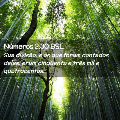 Picture 02 - Números 2:30 BSL - Sua divisão, e os que foram contados deles, eram - Bible Verse Picture