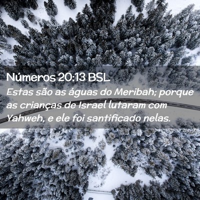 Picture 02 - Números 20:13 BSL - Estas são as águas do Meribah; porque as - Bible Verse Picture