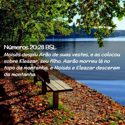 Picture 02 - Números 20:28 BSL - Moisés despiu Arão de suas vestes, e as colocou - Bible Verse Picture