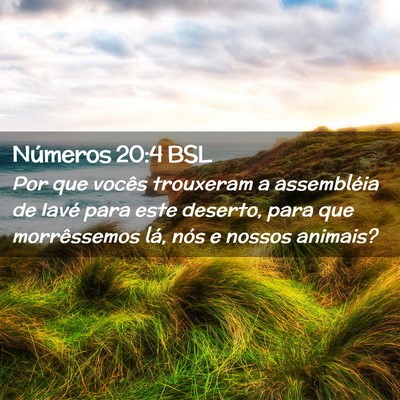 Picture 02 - Números 20:4 BSL - Por que vocês trouxeram a assembléia de Iavé - Bible Verse Picture