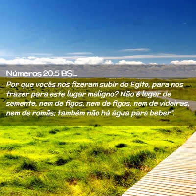 Picture 02 - Números 20:5 BSL - Por que vocês nos fizeram subir do Egito, para - Bible Verse Picture