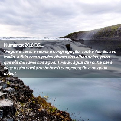 Picture 02 - Números 20:8 BSL - “Pegue a vara, e reúna a congregação, você - Bible Verse Picture