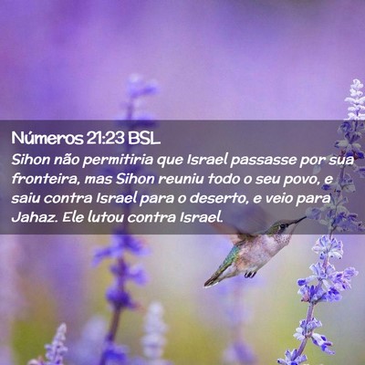 Picture 02 - Números 21:23 BSL - Sihon não permitiria que Israel passasse por sua - Bible Verse Picture