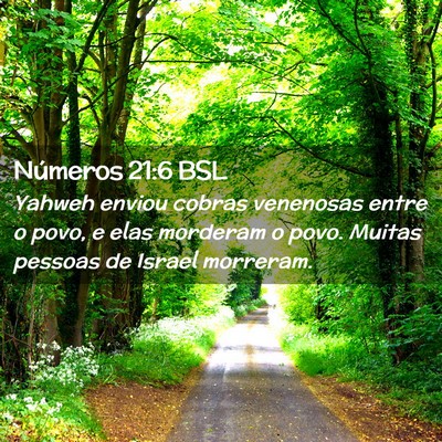 Picture 02 - Números 21:6 BSL - Yahweh enviou cobras venenosas entre o povo, e - Bible Verse Picture
