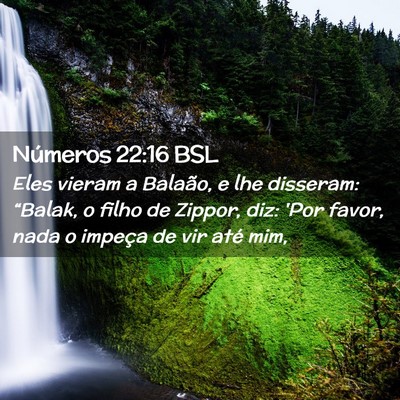 Picture 02 - Números 22:16 BSL - Eles vieram a Balaão, e lhe disseram: “Balak, - Bible Verse Picture