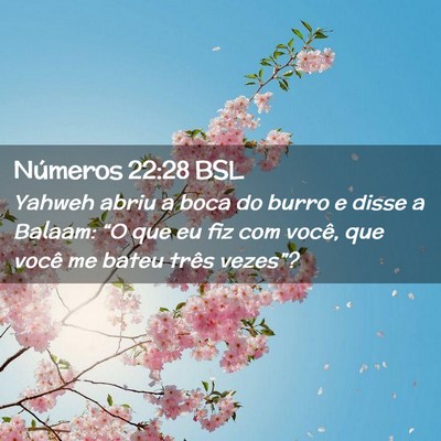 Picture 02 - Números 22:28 BSL - Yahweh abriu a boca do burro e disse a Balaam: - Bible Verse Picture