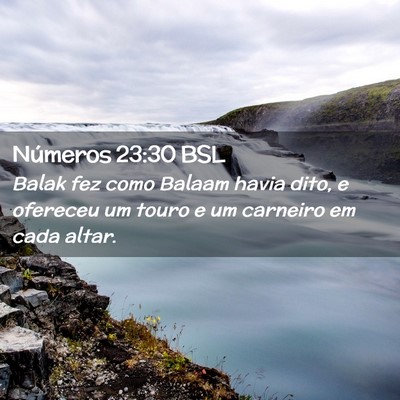 Picture 02 - Números 23:30 BSL - Balak fez como Balaam havia dito, e ofereceu um - Bible Verse Picture