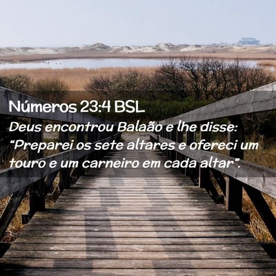Picture 02 - Números 23:4 BSL - Deus encontrou Balaão e lhe disse: “Preparei - Bible Verse Picture