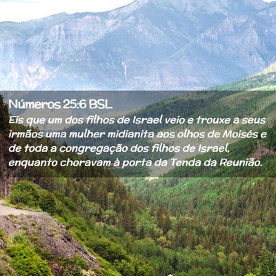 Picture 02 - Números 25:6 BSL - Eis que um dos filhos de Israel veio e trouxe a - Bible Verse Picture