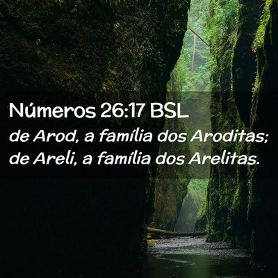 Picture 02 - Números 26:17 BSL - de Arod, a família dos Aroditas; de Areli, a - Bible Verse Picture