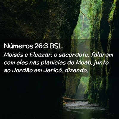 Picture 02 - Números 26:3 BSL - Moisés e Eleazar, o sacerdote, falaram com eles - Bible Verse Picture