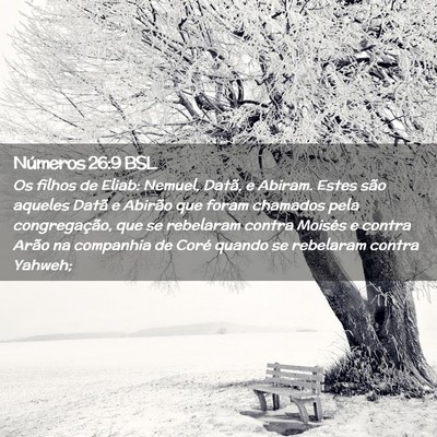 Picture 02 - Números 26:9 BSL - Os filhos de Eliab: Nemuel, Datã, e Abiram. - Bible Verse Picture