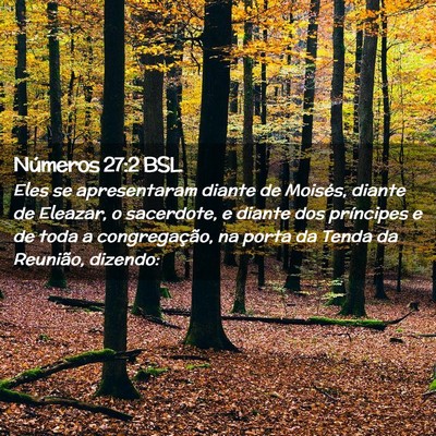 Picture 02 - Números 27:2 BSL - Eles se apresentaram diante de Moisés, diante de - Bible Verse Picture